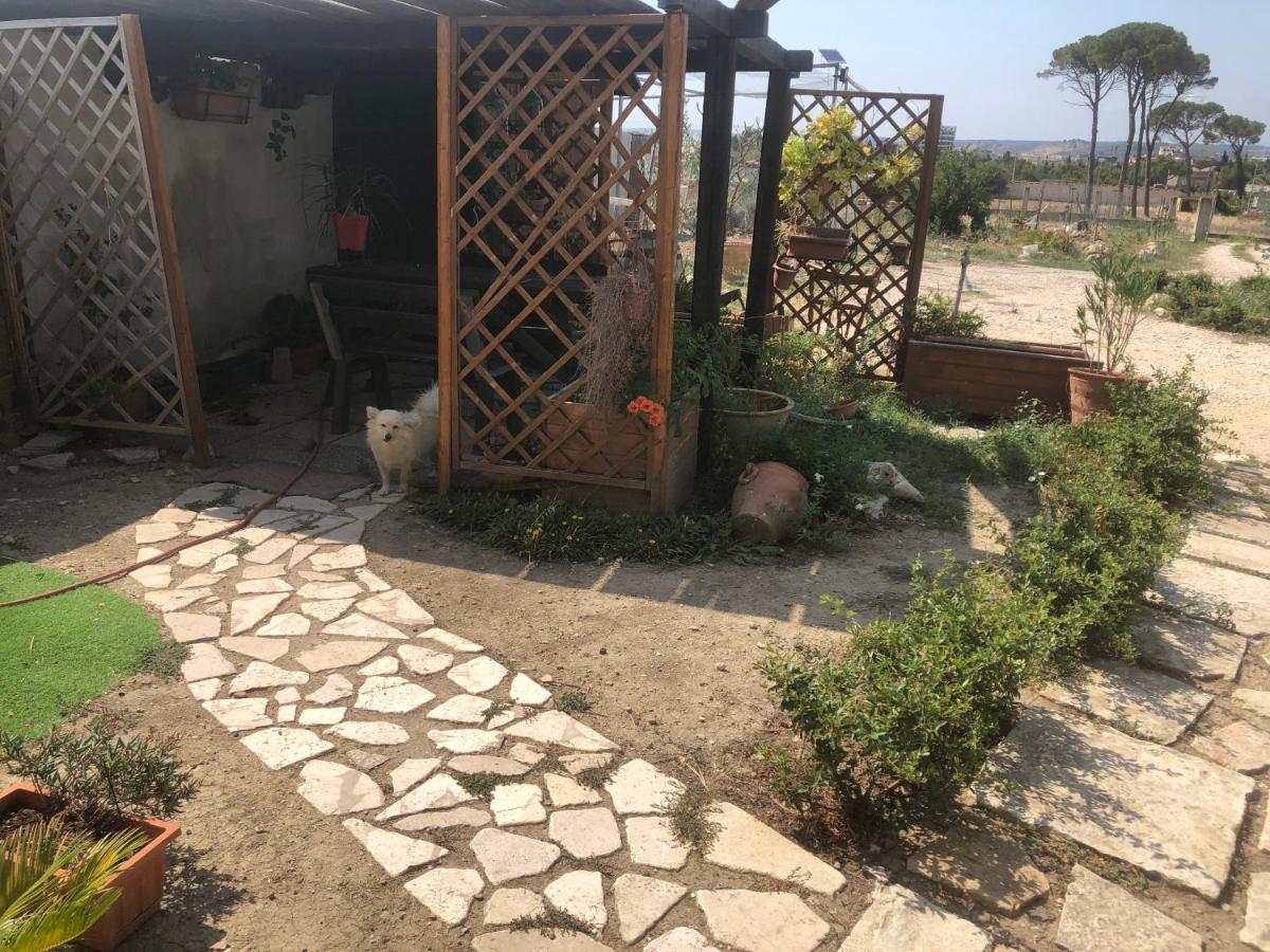 Villa Radiosa Gravina in Puglia Eksteriør bilde
